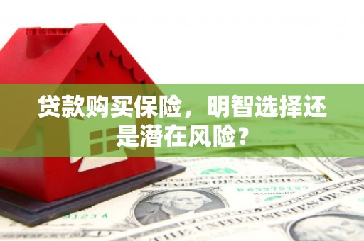 滦平贷款购买保险，明智选择还是潜在风险？