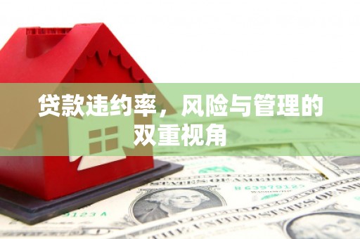 滦平贷款违约率，风险与管理的双重视角