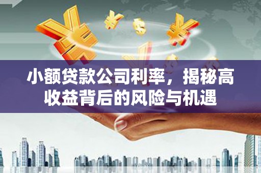 滦平小额贷款公司利率，揭秘高收益背后的风险与机遇