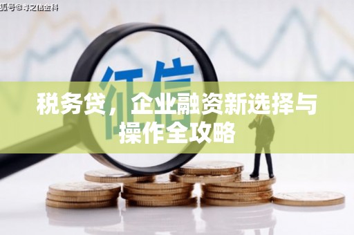滦平税务贷，企业融资新选择与操作全攻略