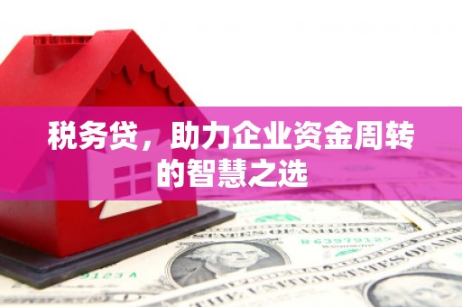 滦平税务贷，助力企业资金周转的智慧之选