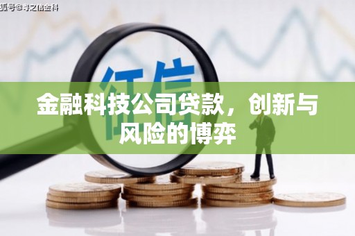 滦平金融科技公司贷款，创新与风险的博弈