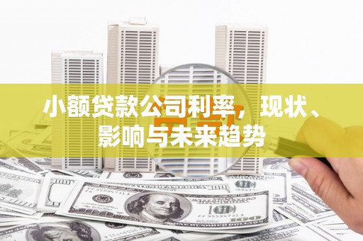 滦平小额贷款公司利率，现状、影响与未来趋势