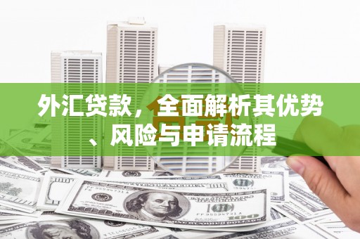 滦平外汇贷款，全面解析其优势、风险与申请流程
