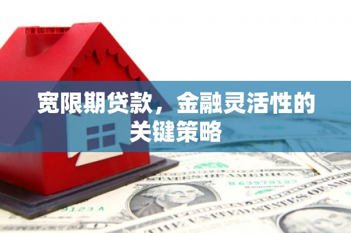 滦平宽限期贷款，金融灵活性的关键策略