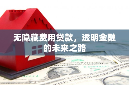 滦平无隐藏费用贷款，透明金融的未来之路