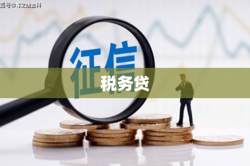 滦平税务贷