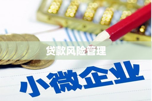 滦平贷款风险管理