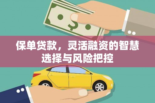滦平保单贷款，灵活融资的智慧选择与风险把控