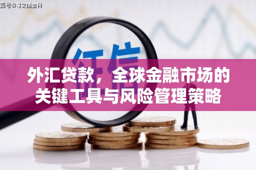 滦平外汇贷款，全球金融市场的关键工具与风险管理策略
