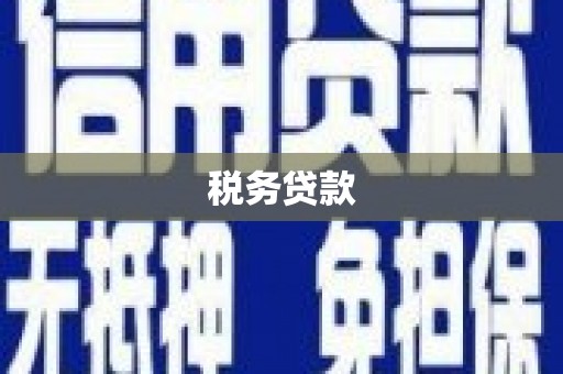 滦平税务贷款
