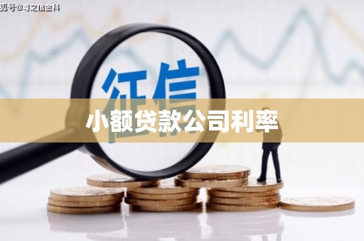 滦平小额贷款公司利率