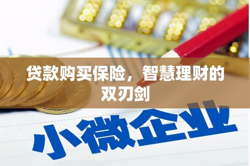 滦平贷款购买保险，智慧理财的双刃剑