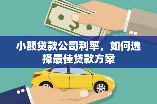 滦平小额贷款公司利率，如何选择最佳贷款方案