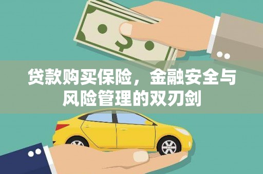 滦平贷款购买保险，金融安全与风险管理的双刃剑