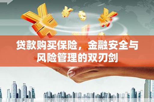 滦平贷款购买保险，金融安全与风险管理的双刃剑