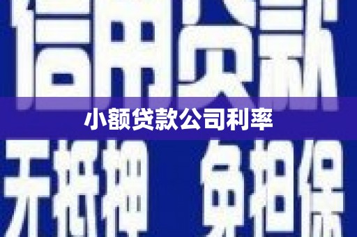 滦平小额贷款公司利率