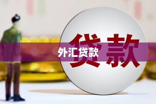 滦平外汇贷款