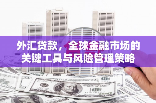 滦平外汇贷款，全球金融市场的关键工具与风险管理策略