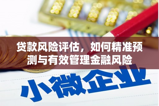 滦平贷款风险评估，如何精准预测与有效管理金融风险