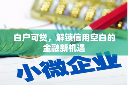 滦平白户可贷，解锁信用空白的金融新机遇
