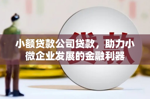 滦平小额贷款公司贷款，助力小微企业发展的金融利器