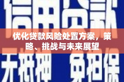 滦平优化贷款风险处置方案，策略、挑战与未来展望
