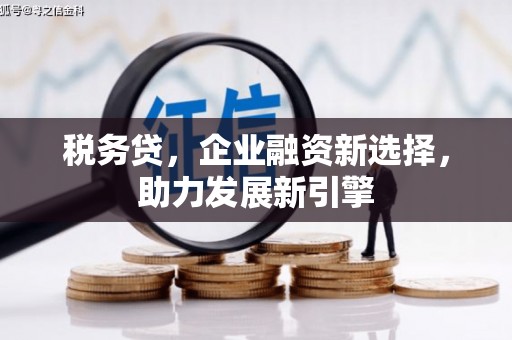 滦平税务贷，企业融资新选择，助力发展新引擎