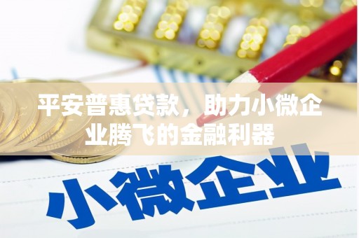 滦平平安普惠贷款，助力小微企业腾飞的金融利器