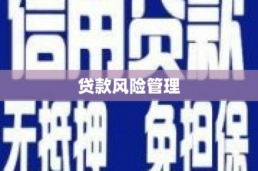 滦平贷款风险管理