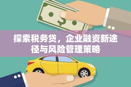 滦平探索税务贷，企业融资新途径与风险管理策略