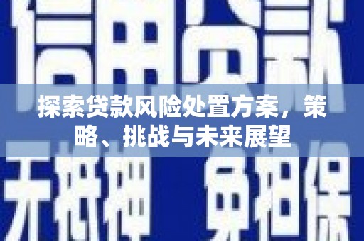 滦平探索贷款风险处置方案，策略、挑战与未来展望