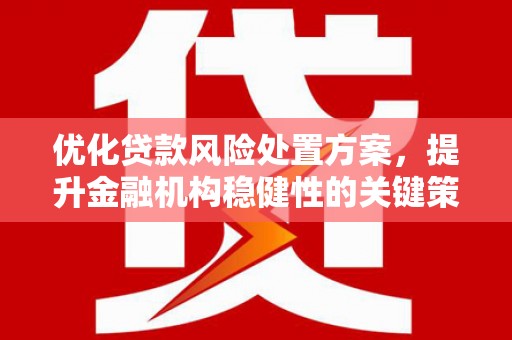 滦平优化贷款风险处置方案，提升金融机构稳健性的关键策略