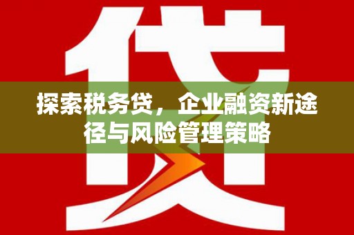 滦平探索税务贷，企业融资新途径与风险管理策略