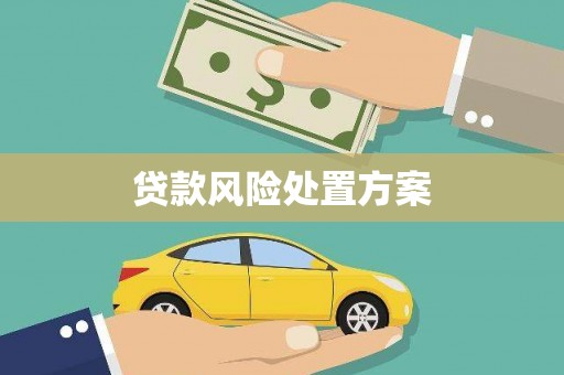 滦平贷款风险处置方案
