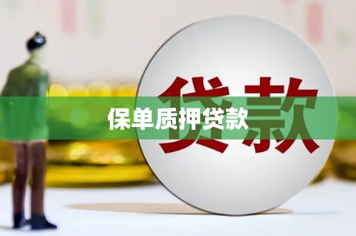 滦平保单质押贷款