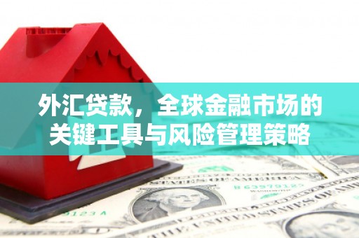 滦平外汇贷款，全球金融市场的关键工具与风险管理策略