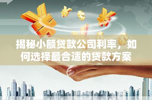 滦平揭秘小额贷款公司利率，如何选择最合适的贷款方案
