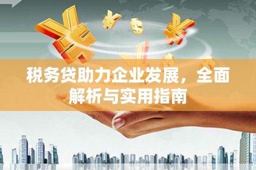 滦平税务贷助力企业发展，全面解析与实用指南