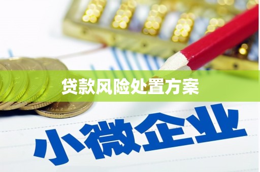 滦平贷款风险处置方案