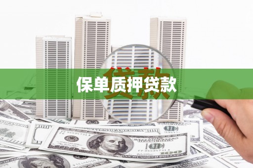 滦平保单质押贷款