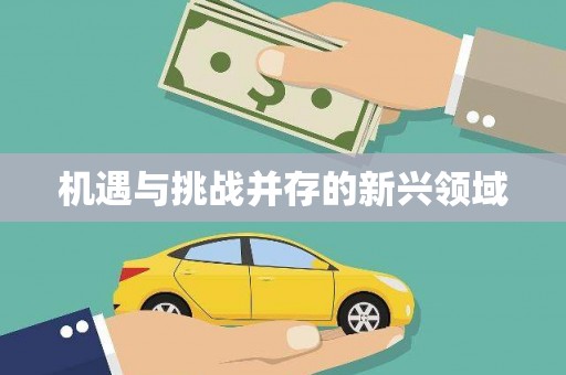 滦平机遇与挑战并存的新兴领域
