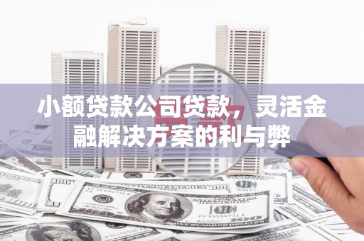 滦平小额贷款公司贷款，灵活金融解决方案的利与弊